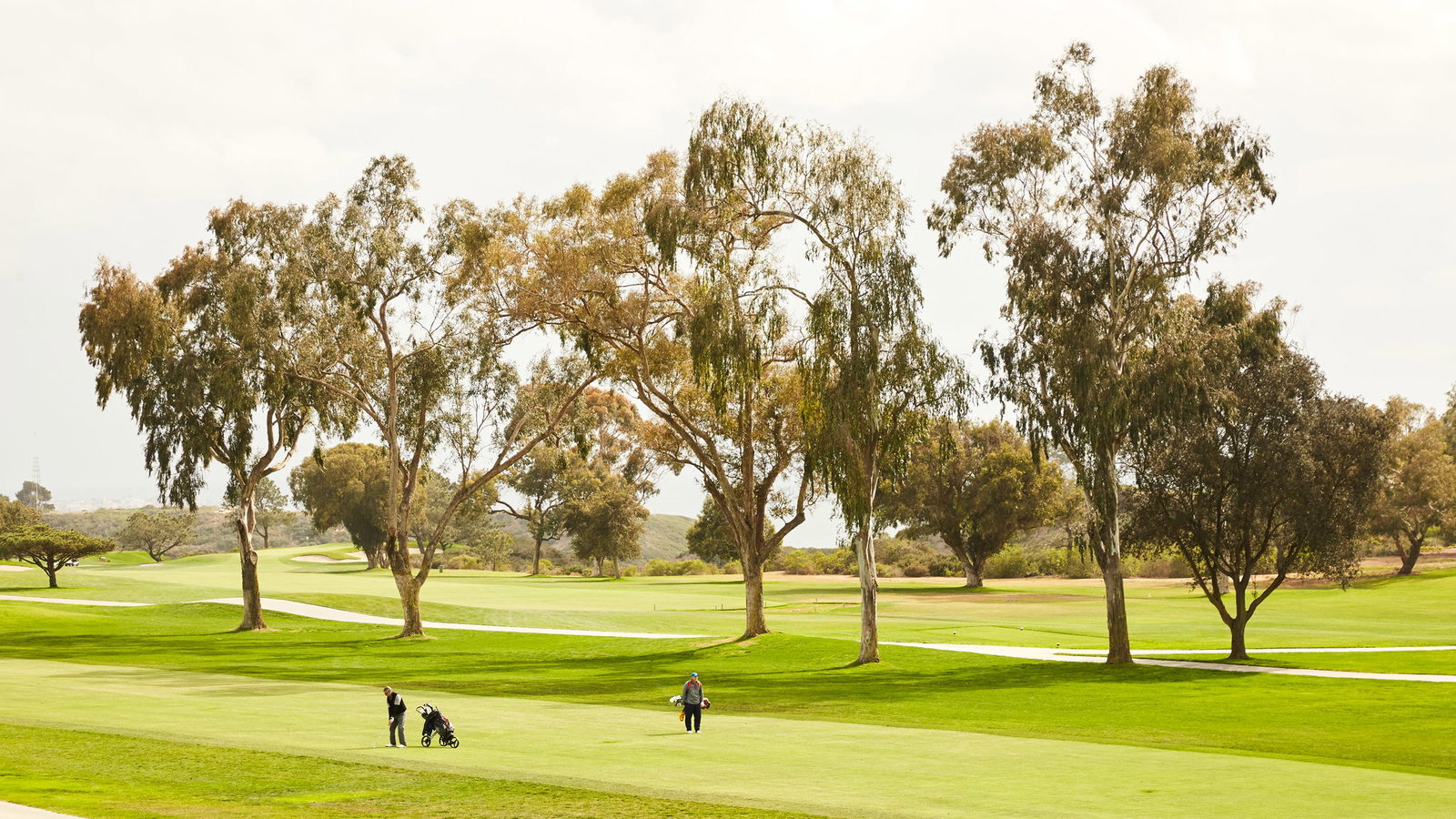 The BEST PGA Tour beach destinations and championship courses YOU CAN PLAY